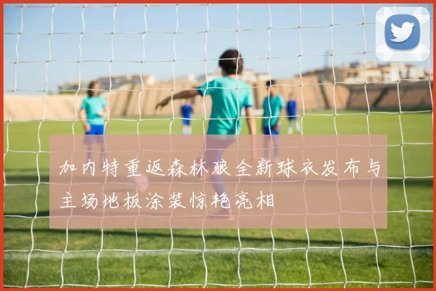 加内特重返森林狼全新球衣发布与主场地板涂装惊艳亮相