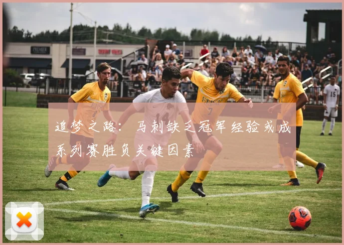 追梦之路：马刺缺乏冠军经验或成系列赛胜负关键因素